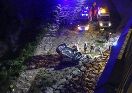 Los bomberos retiran el vehículo tras precipitarse.