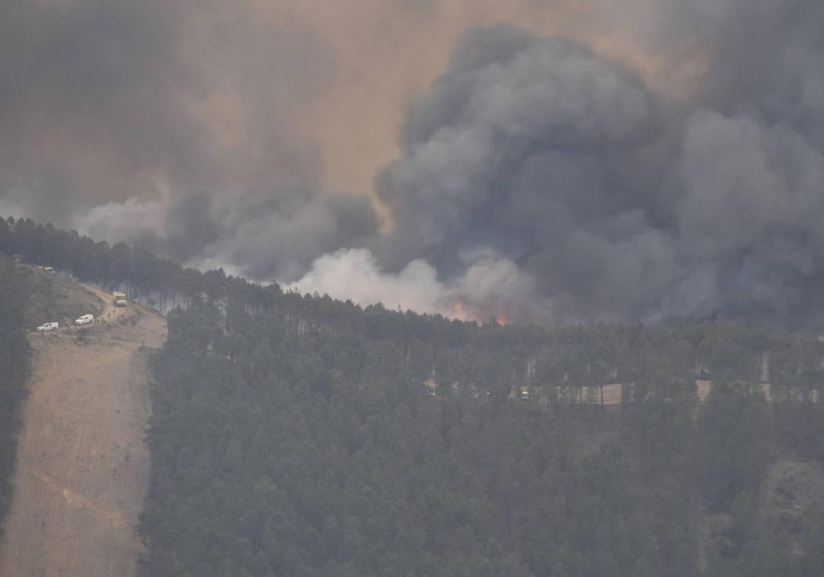 Una imagen del incendio de Pinofranqueado desde la provincia de Salamanca.