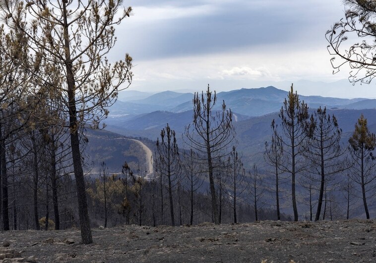 Controlado el incendio de las comarcas de Las Hurdes y Sierra de Gata