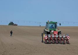 Un tractor siembra en una tierra en la provincia de Salamanca.
