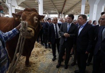 El Ministerio de Agricultura interviene la sanidad animal de Castilla y León