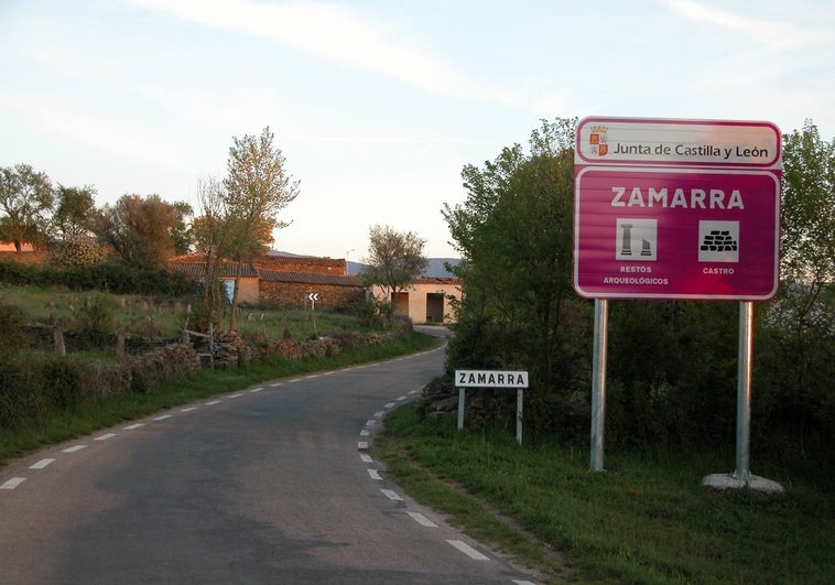 Detectado un caso de tembladera o scrapie en Zamarra