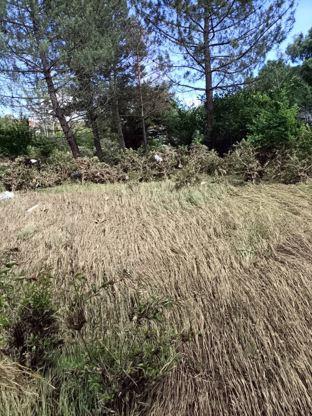 Así está la localidad salmantina de Beleña el día después de las fuertes lluvias