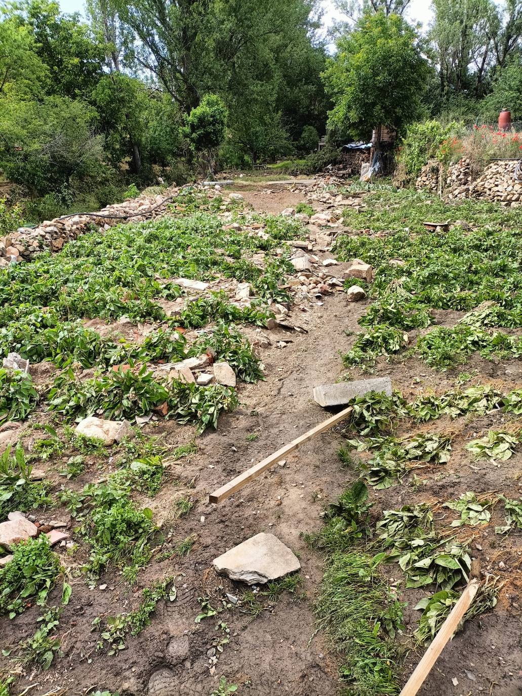 Así está la localidad salmantina de Beleña el día después de las fuertes lluvias