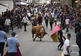 Cientos de mozos saltaron ayer a las calles principales de Vitigudino. fotos