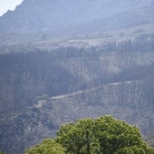 Los montes de Monsagro todavía reflejan la dureza del incendio del pasado verano.