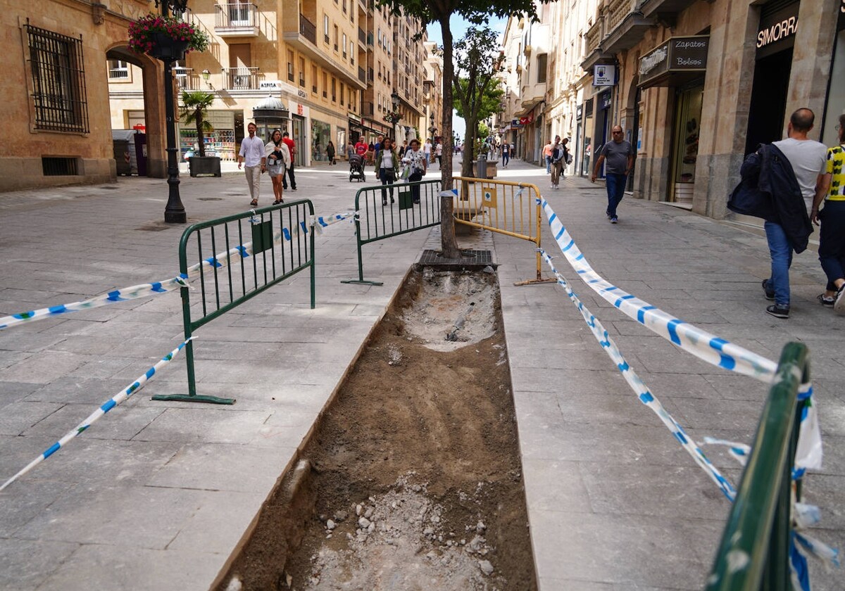 Primera zanja abierta para construir alcorques y elevar las zonas verdes en la calle Zamora.