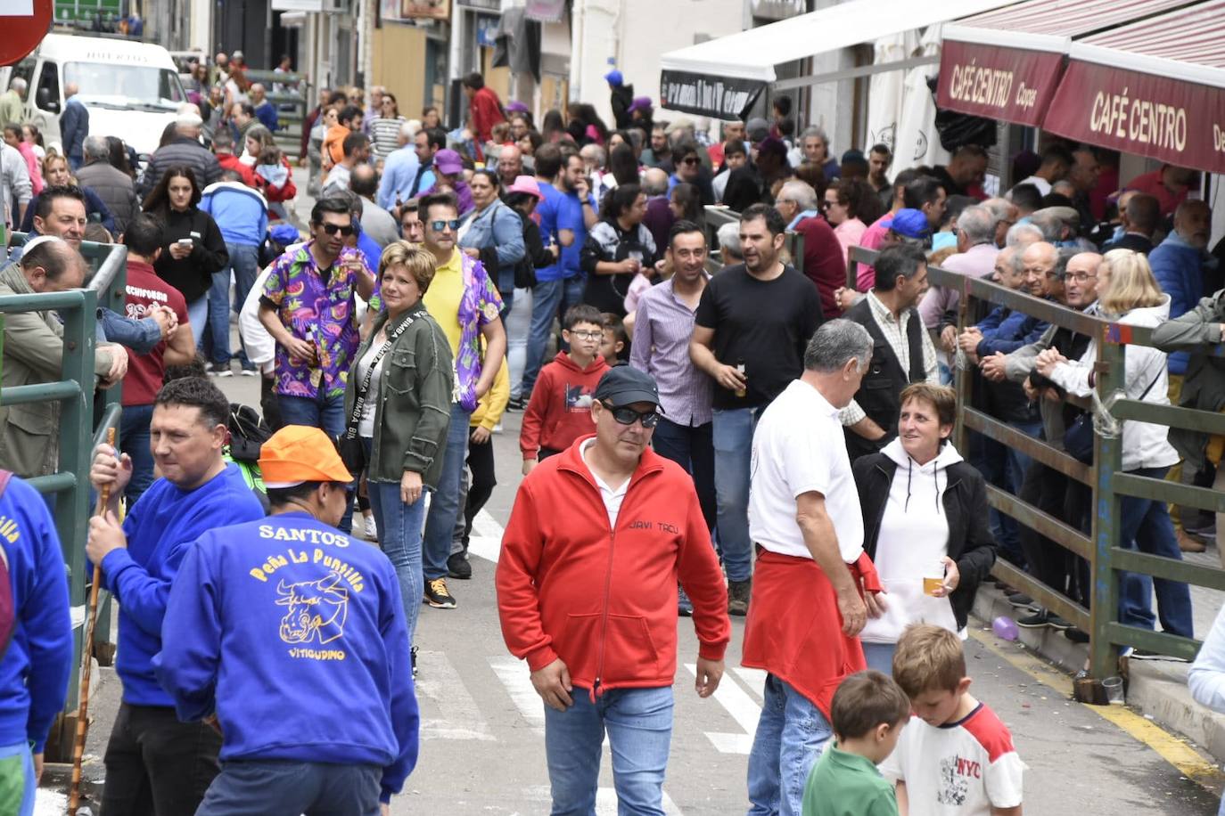 Vitigudino vive su primer encierro de las Fiestas del Corpus sin ningún incidente