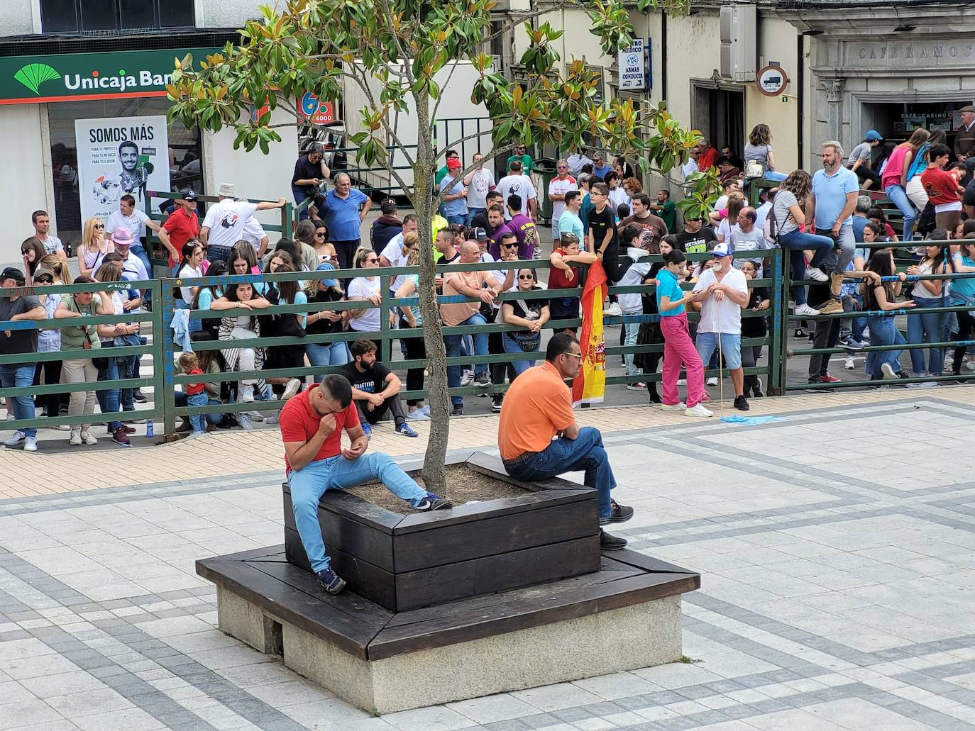 Vitigudino se llena para el segundo encierro de las fiestas del Corpus