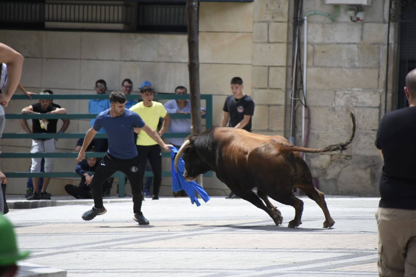 Vitigudino se llena para el segundo encierro de las fiestas del Corpus