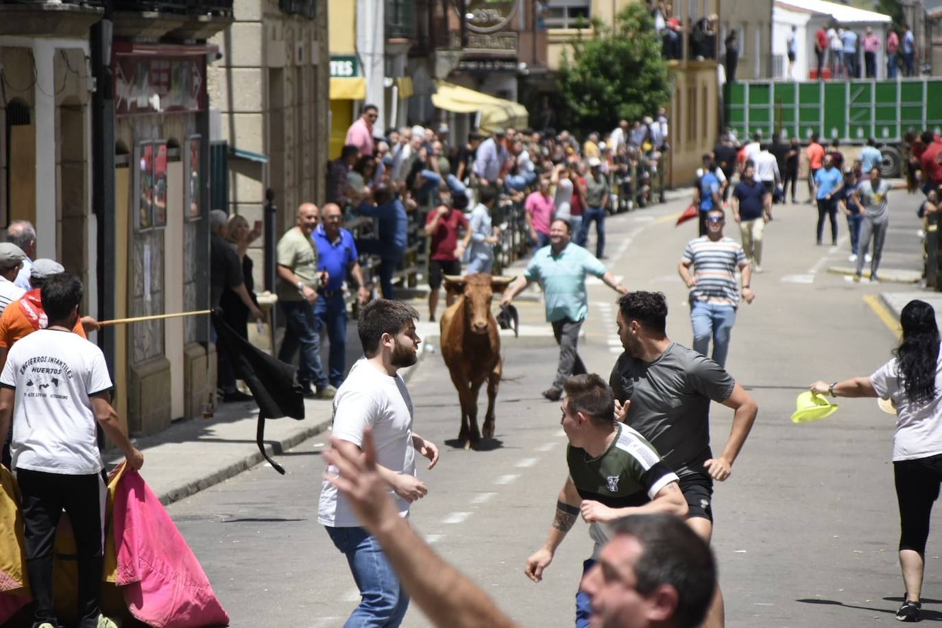 Vitigudino se llena para el segundo encierro de las fiestas del Corpus