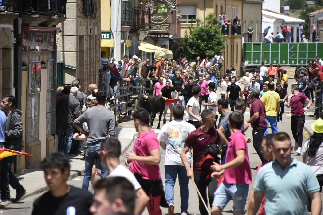 Vitigudino se llena para el segundo encierro de las fiestas del Corpus