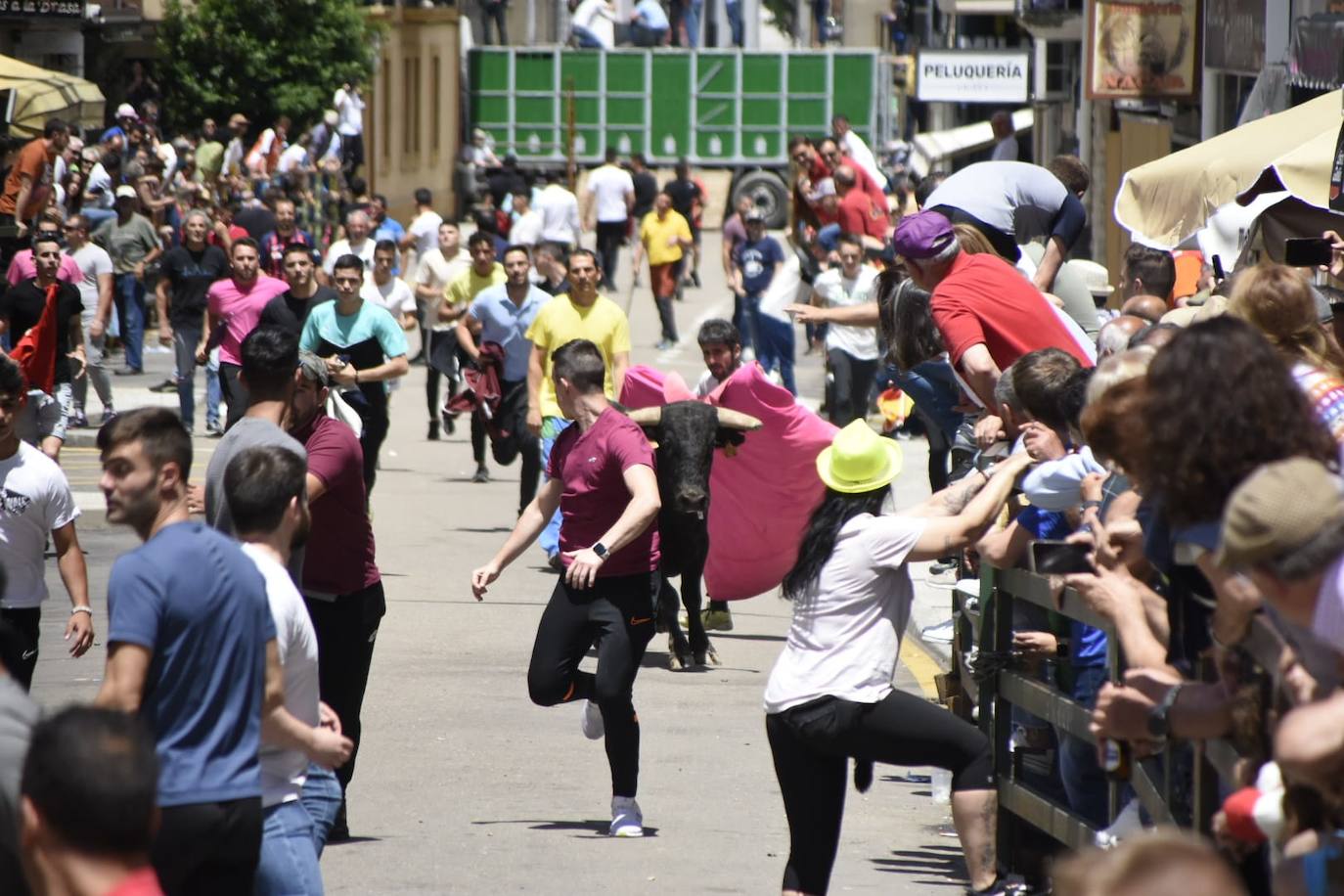 Vitigudino se llena para el segundo encierro de las fiestas del Corpus