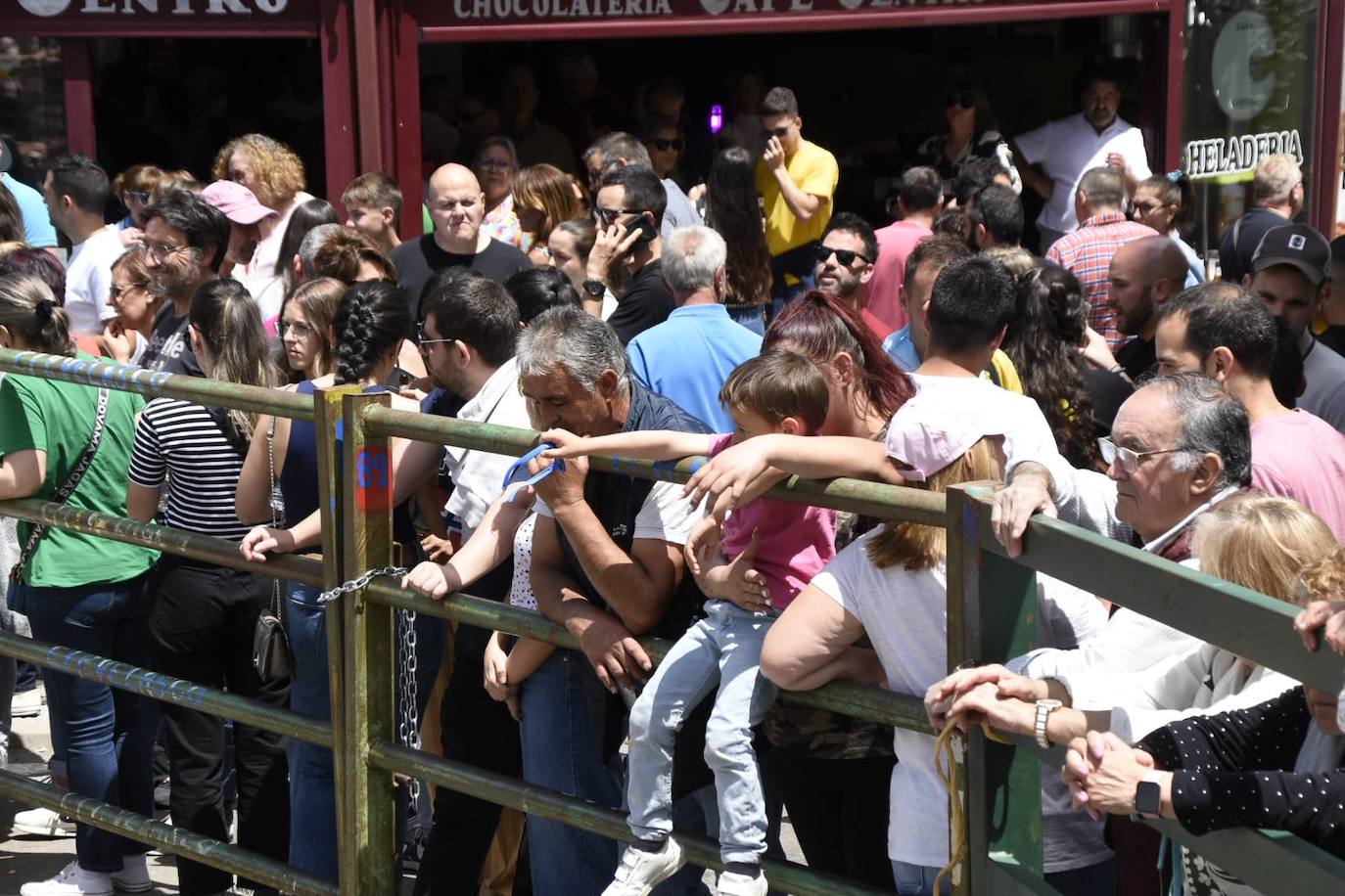 Vitigudino se llena para el segundo encierro de las fiestas del Corpus