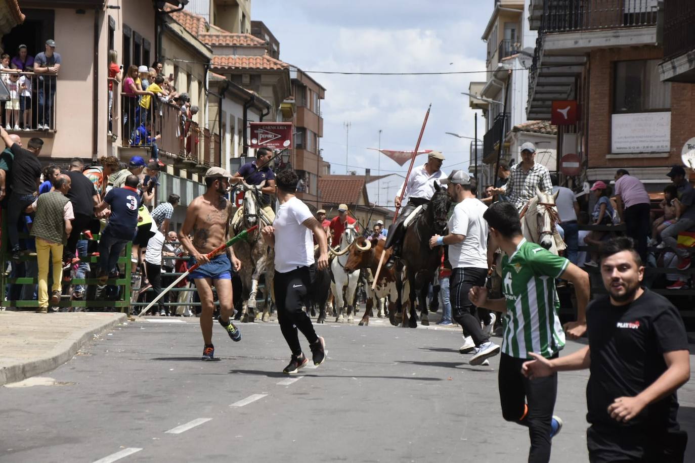 Encierros limpios y rápidos en Vitigudino