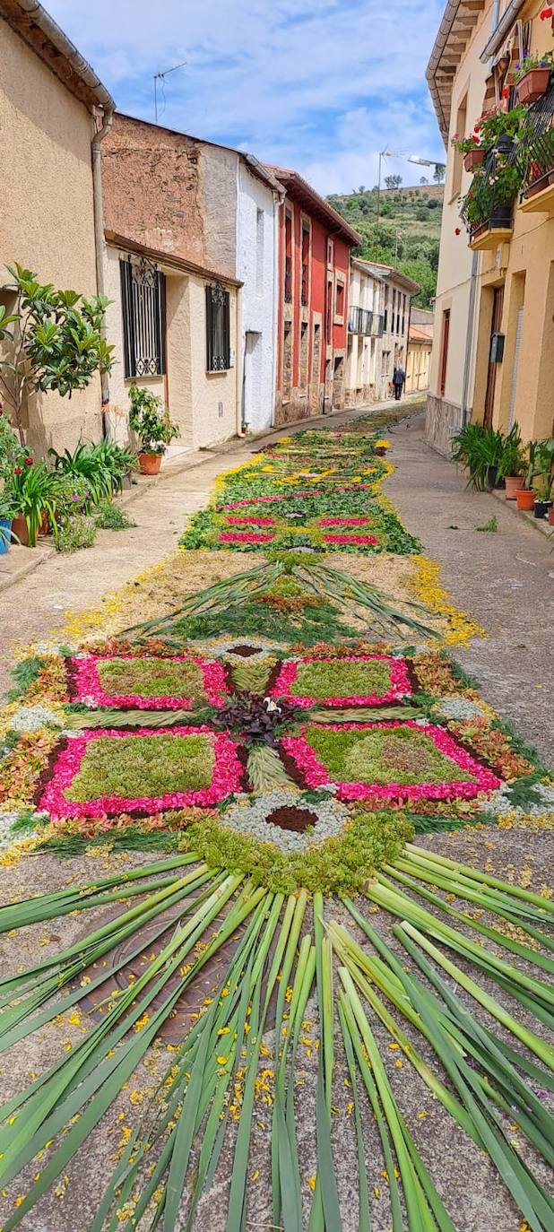 Las espectaculares alfombras florales de Serradilla del Arroyo para celebrar el Corpus