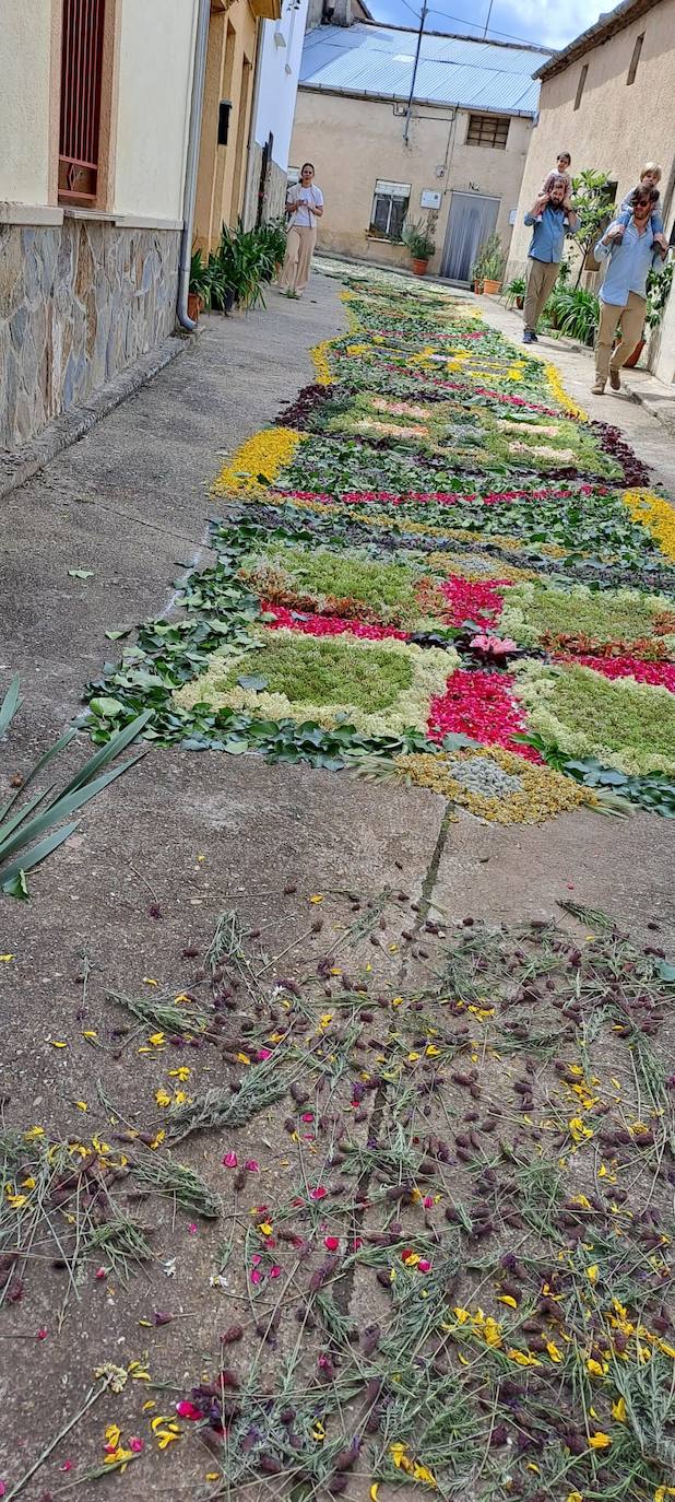 Las espectaculares alfombras florales de Serradilla del Arroyo para celebrar el Corpus