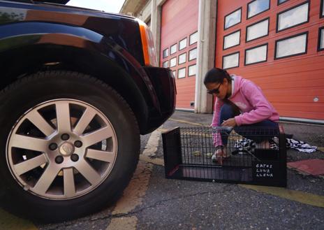 Imagen secundaria 1 - Insólito: un hombre se planta en el Parque de Bomberos para que le saquen un gato del coche