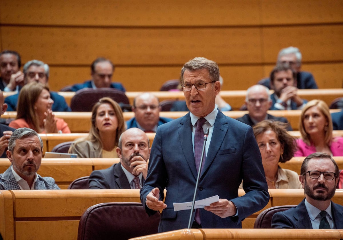 Alberto Nuñez Feijoo, en una sesión del Senado