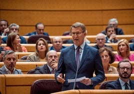 Alberto Nuñez Feijoo, en una sesión del Senado