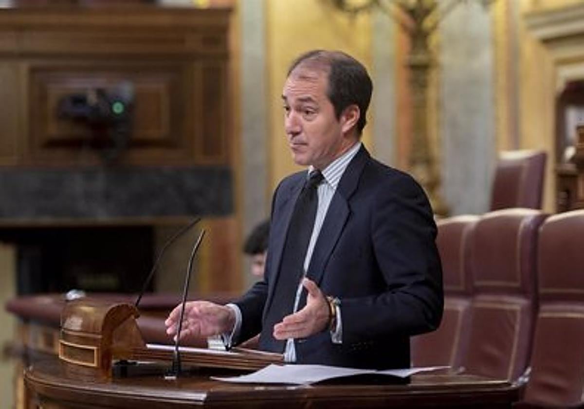 El diputado de Vox en el Congreso, Víctor González Coello de Portugal.