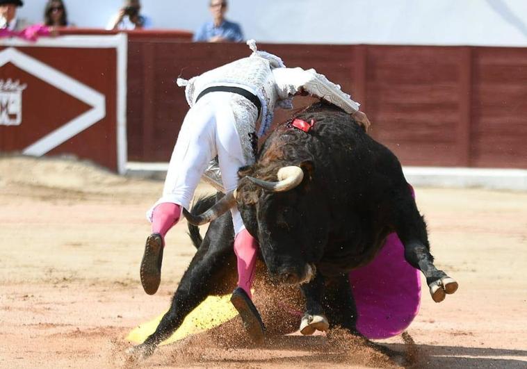 Descartan lesiones de cerebro y cuello a Juan del Álamo