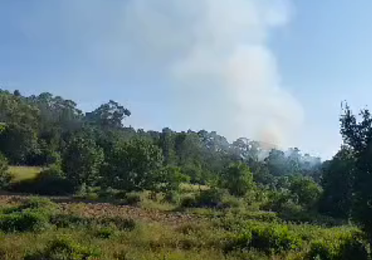 Imagen del humo generado por el incendio