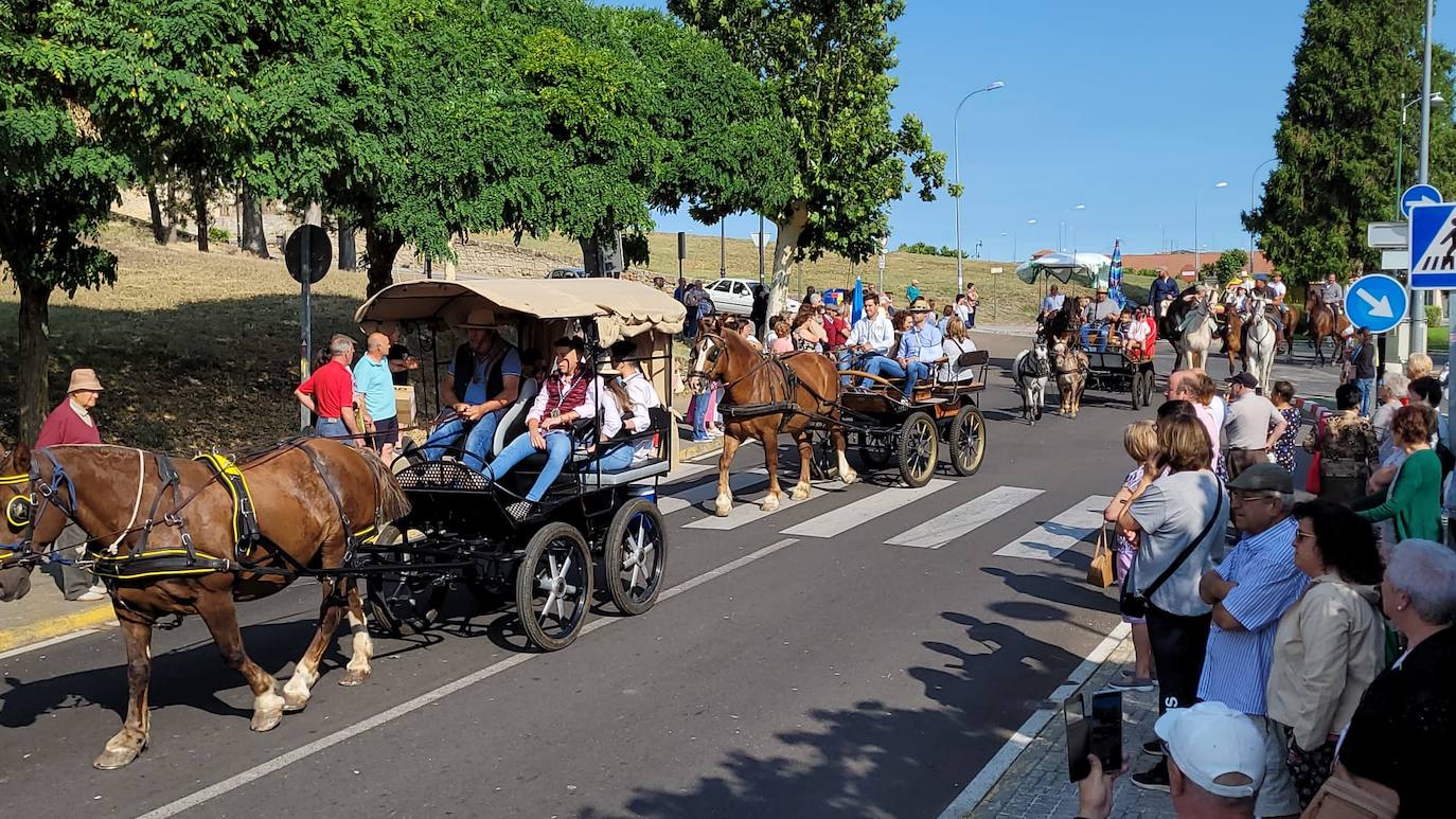 Arranca en Ciudad Rodrigo la Romería de la Hermandad de la Virgen de la Peña de Francia