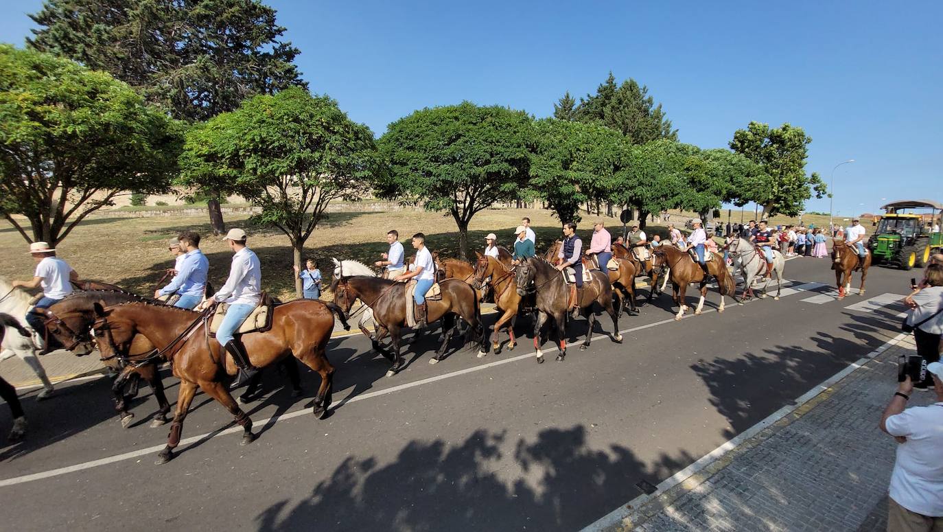 Arranca en Ciudad Rodrigo la Romería de la Hermandad de la Virgen de la Peña de Francia