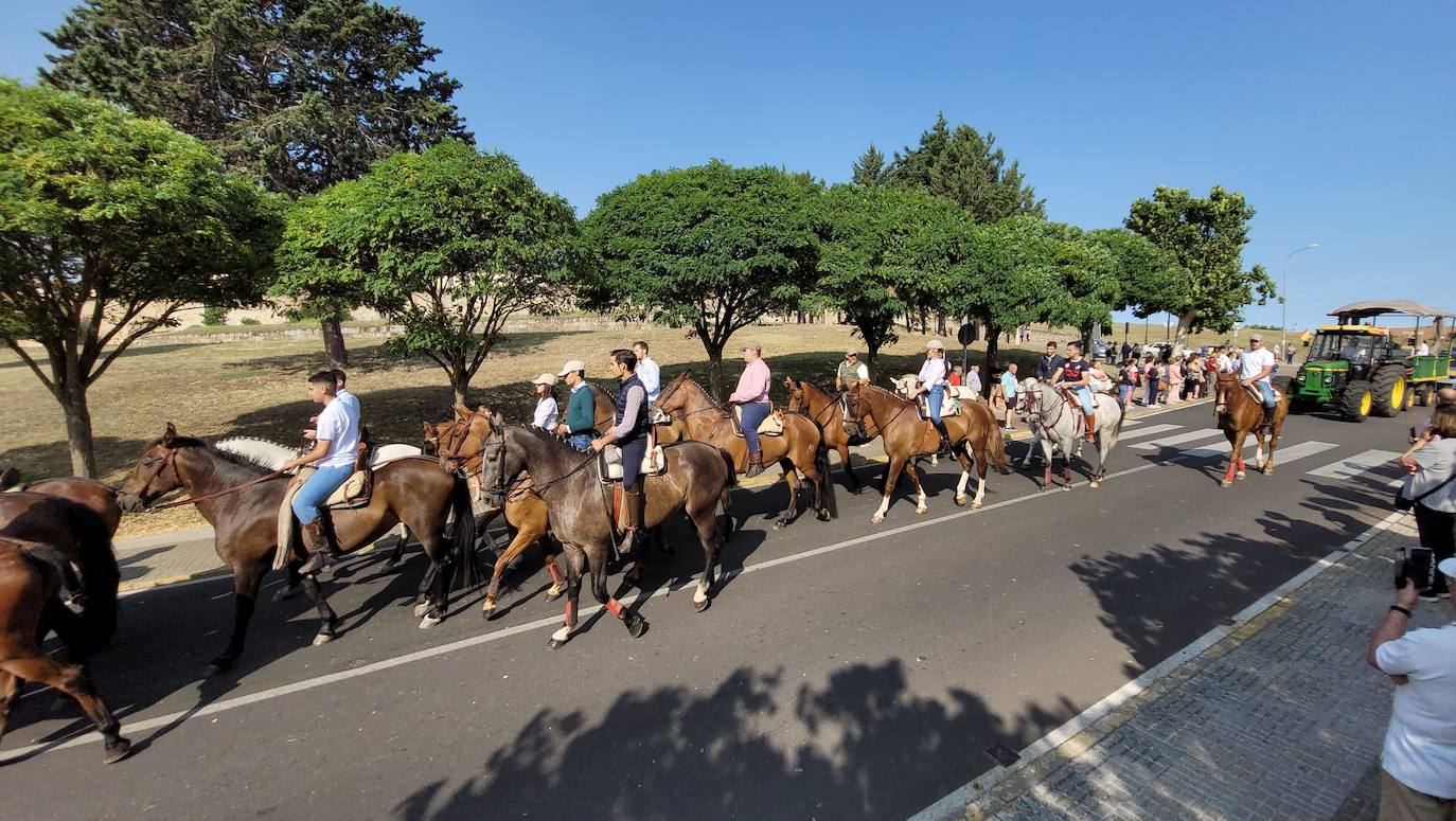 Arranca en Ciudad Rodrigo la Romería de la Hermandad de la Virgen de la Peña de Francia