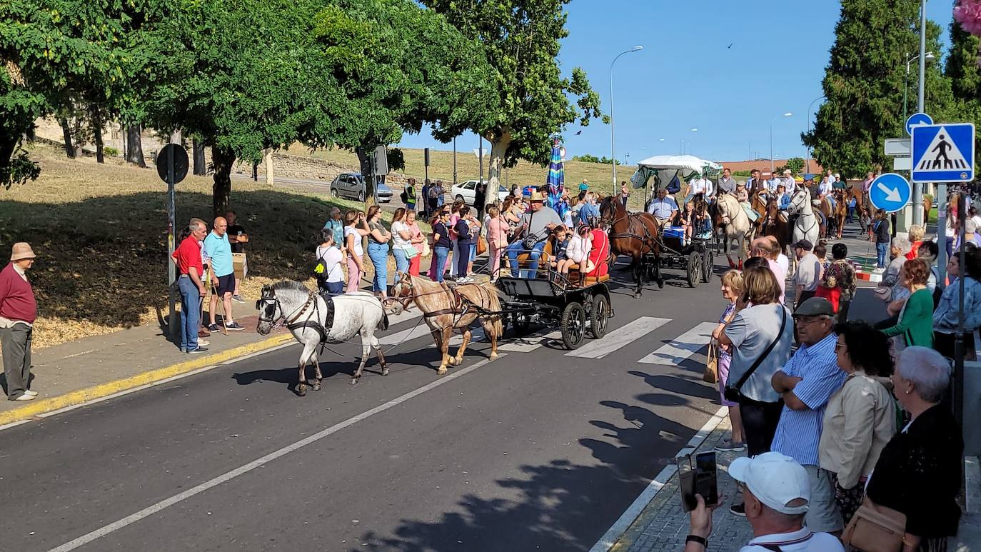 Arranca en Ciudad Rodrigo la Romería de la Hermandad de la Virgen de la Peña de Francia