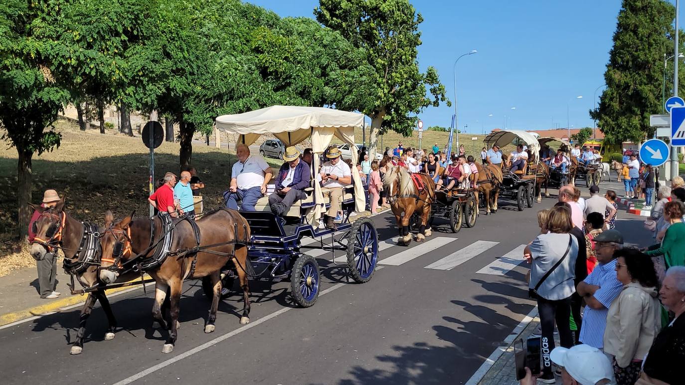 Arranca en Ciudad Rodrigo la Romería de la Hermandad de la Virgen de la Peña de Francia