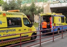 Dos ambulancia asisten a varios heridos.