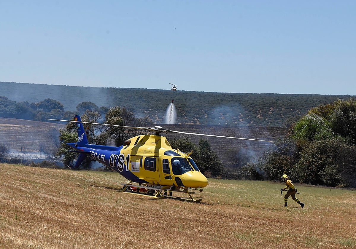 Helicópteros de El Bodón y El Maíllo en una intervención en los campos de Carpio de Azaba.