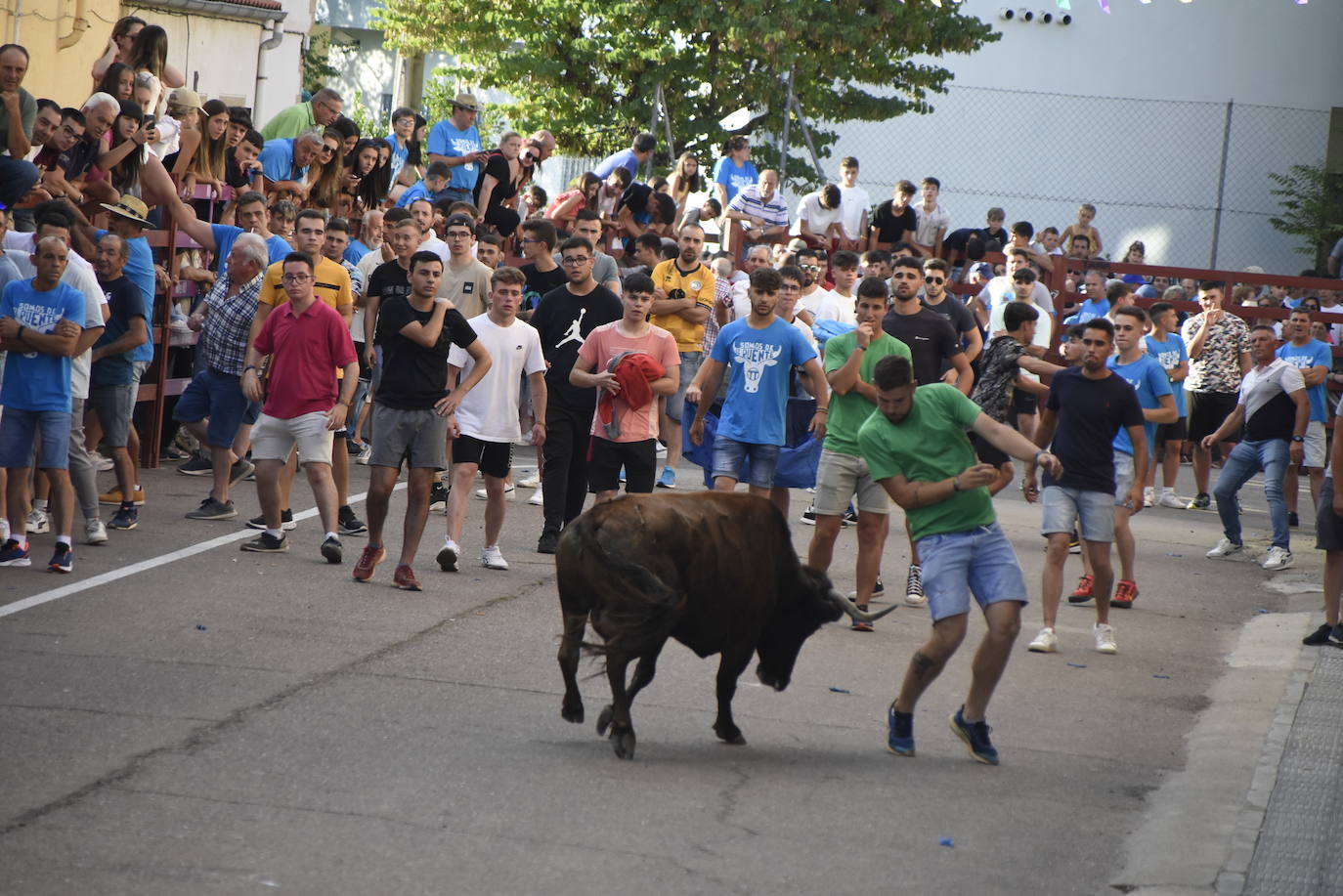 Carreras taurinas en el Barrio Nuevo