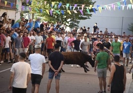 Multitudinario festejo taurino en el Barrio Nuevo del Arrabal del Puente de Ciudad Rodrigo