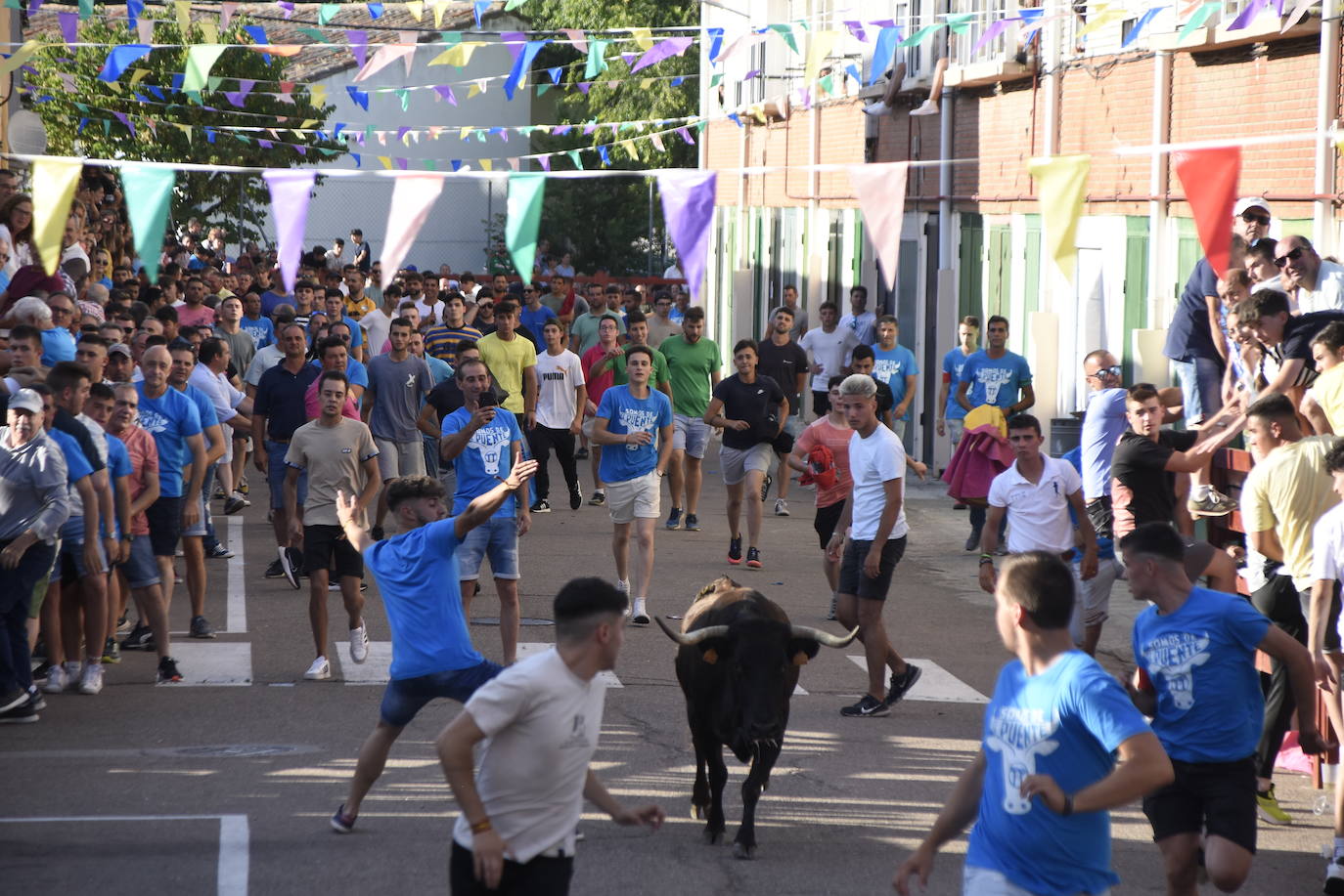 Carreras taurinas en el Barrio Nuevo