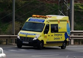 Una ambulancia circula por la autovía
