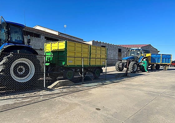 Tractores pesan el cereal recién cosechado en Pitiegua.