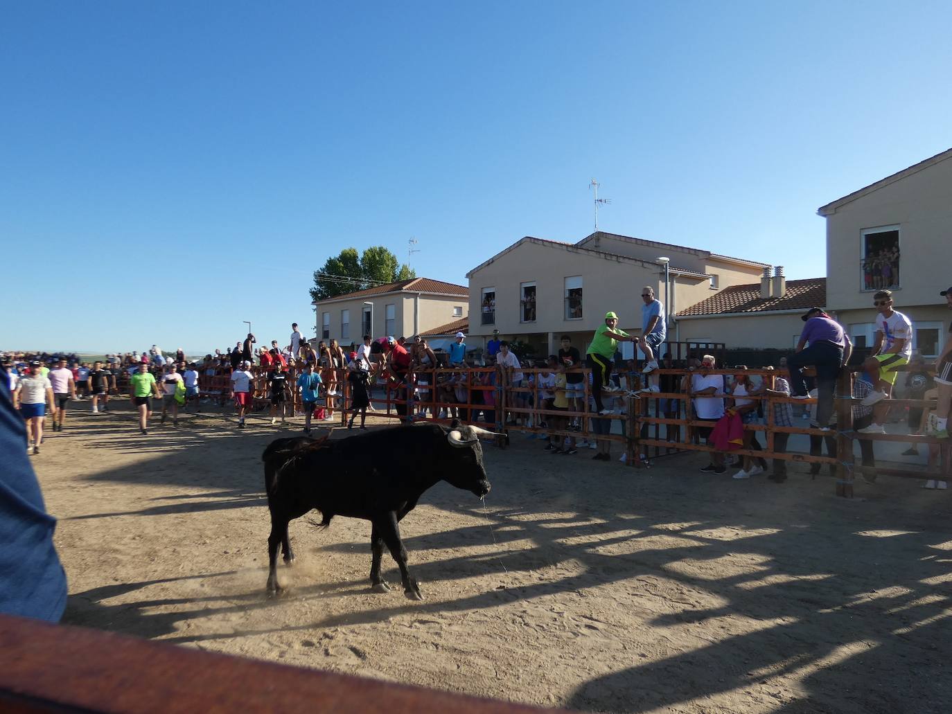 El toro del cajón centra la atención juvenil en Villoruela