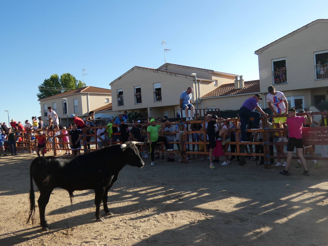 El toro del cajón centra la atención juvenil en Villoruela