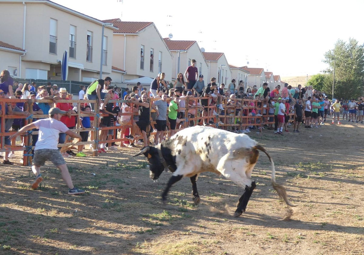 El toro del cajón centra la atención juvenil en Villoruela