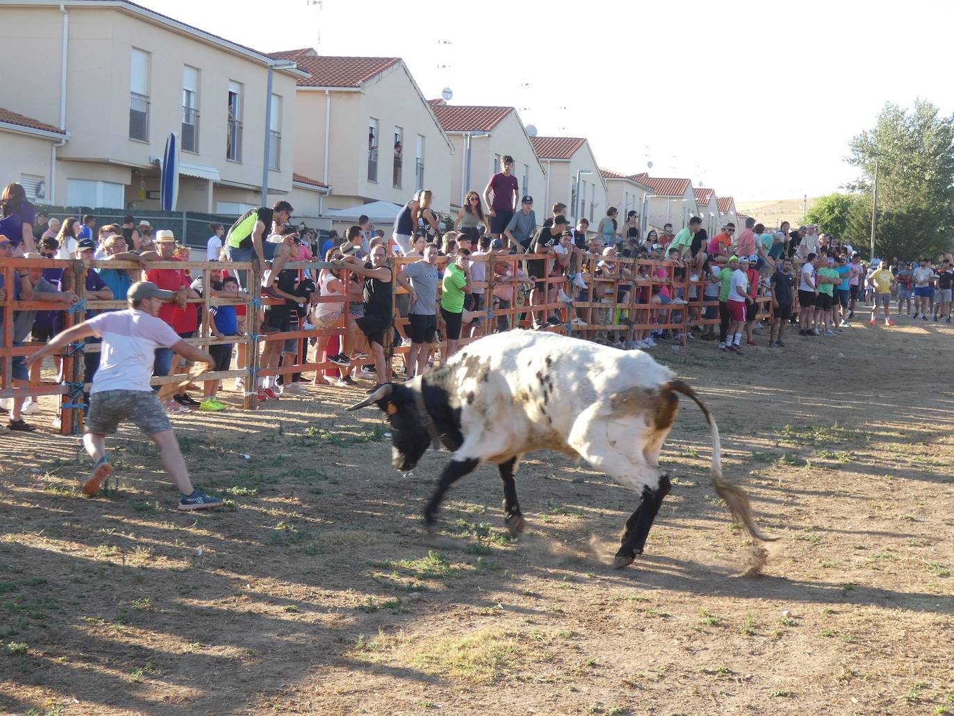 El toro del cajón centra la atención juvenil en Villoruela