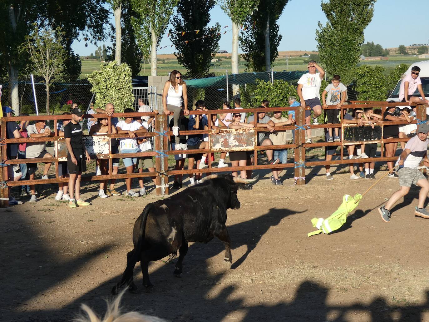 El toro del cajón centra la atención juvenil en Villoruela