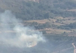 Incendio forestal en Serradilla del Llano.
