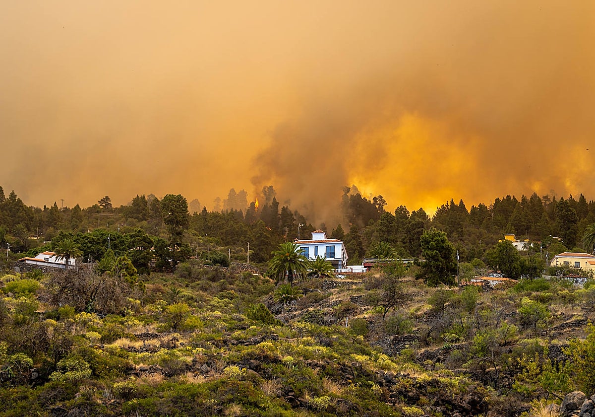 El avance del fuego amenaza las casas