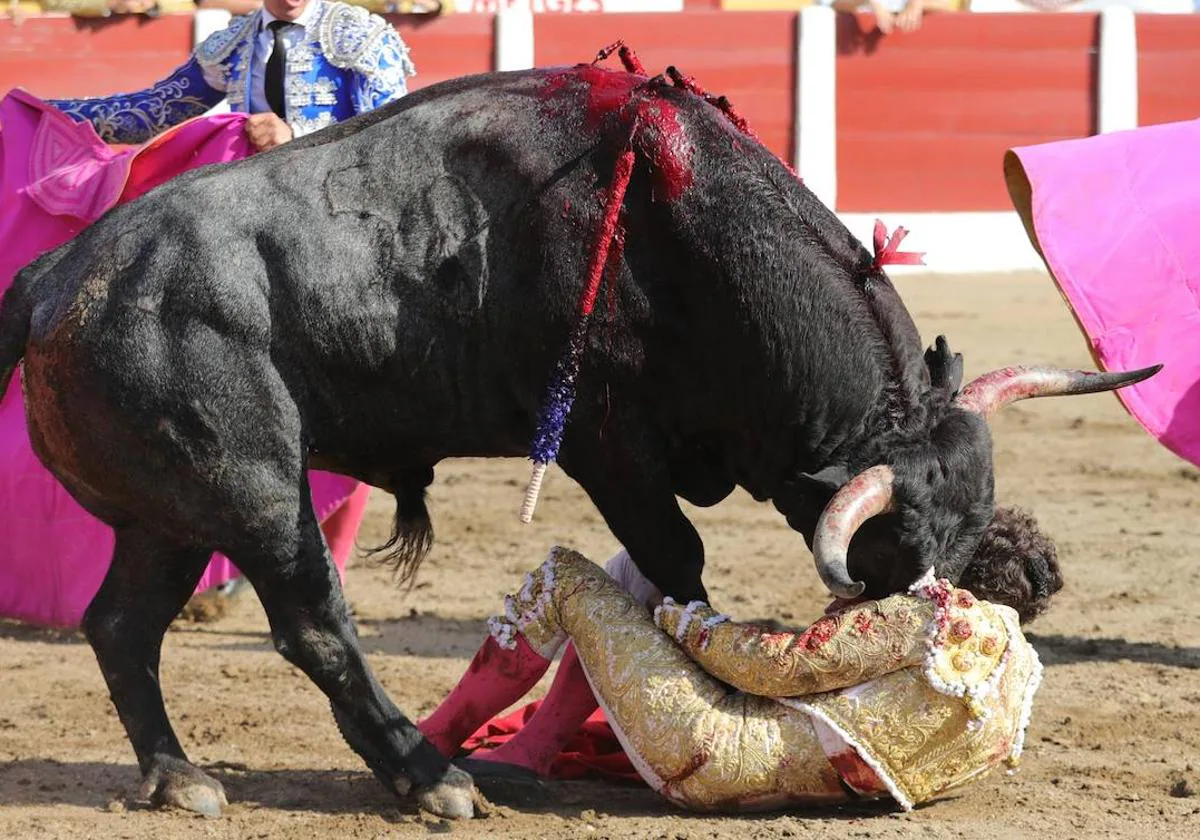 Sobrecogedora cogida al torero salmantino Álvaro de la Calle en Ceret  (Francia) | La Gaceta de Salamanca