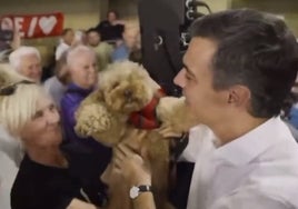 Las redes arden con lo que le sucedió a Pedro Sánchez con este perro