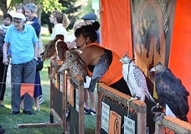 La exhibición de cetrería en el Prado de la Vega de Carbajosa de la Sagrada, dentro del Verano Cultural