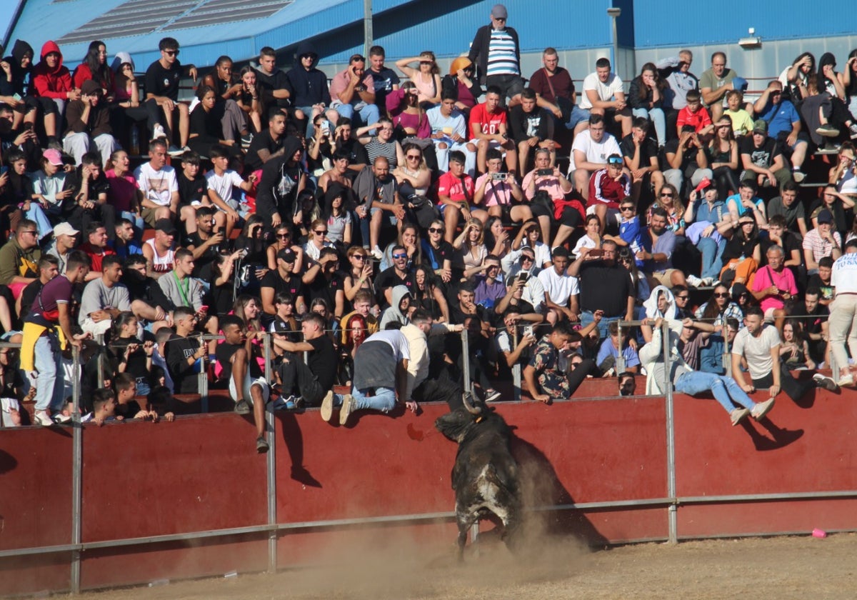 El Toro del Aguardiente de Santa Marta de Tormes, se celebró con aforo completo.